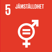 FN-mål nummer 5-jämställdhet